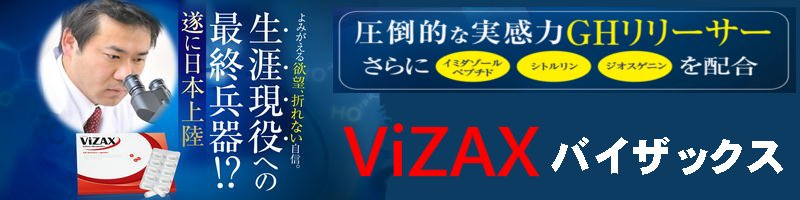 ���̓T�v���uViZAX�i�o�C�U�b�N�X�j�v���T�C�g